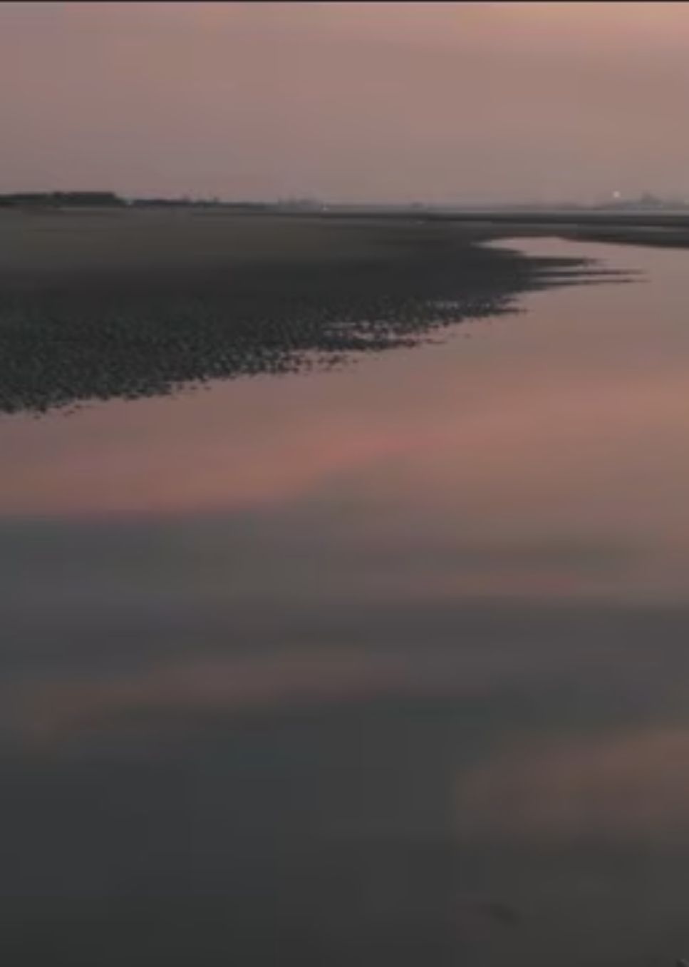 两个爸爸的故事?